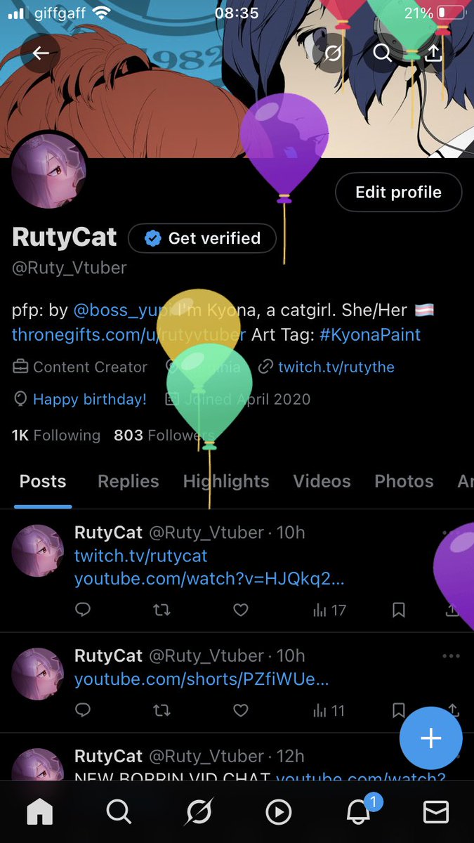 RutyCat (3/100) tweet media