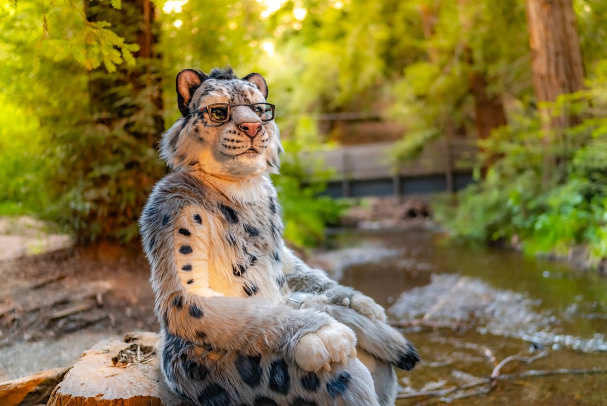 A friendly reminder to occasionally step away from the clout-chasing, doomscrolling aspects of modern society and social media, and immerse yourself in nature instead - it's healthy and snep-approved! #FursuitFriday

🪡: <a href="/Beetlefursuits/">Beetlecat.bsky.social</a>
📸: <a href="/ChatahSpots/">Ｍｉｇｏ💢｜Chatah🏖☀️</a>