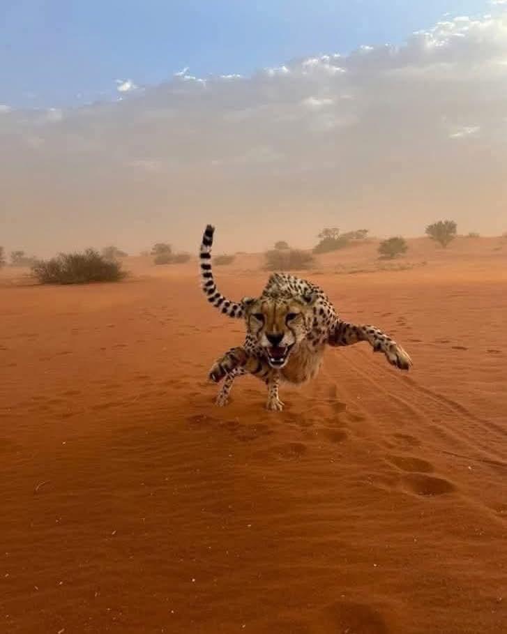 Positive Vibes #FF <a href="/JoPavlopoulou/">Dr Georgia Pavlopoulou</a> <a href="/AT_Autism/">AT-Autism</a> <a href="/milton_damian/">Damian Milton</a> <a href="/sarasiobhan/">Prof Ryan</a> <a href="/Sarah_NottsUni/">Sarah Cassidy</a> <a href="/NicolaM79014592/">Nicola Martin</a> <a href="/Andylowarousal/">Andy McDonnell</a> <a href="/jo3grace/">Joanna Grace PhD</a> <a href="/Palaceedd/">Eddie Chaplin</a> <a href="/NRSaundersbooks/">Nikki Saunders.</a>  <a href="/BarrySheerman/">Barry Sheerman</a> <a href="/npaa_uk/">Police Autism UK</a> <a href="/InvolvingYou/">Leeds Involving People</a> <a href="/Alfie_Friedman/">Alfie Friedman</a>  <a href="/AnnMemmott/">Ann Memmott</a> <a href="/RoseUnwin/">Stephen Unwin</a>