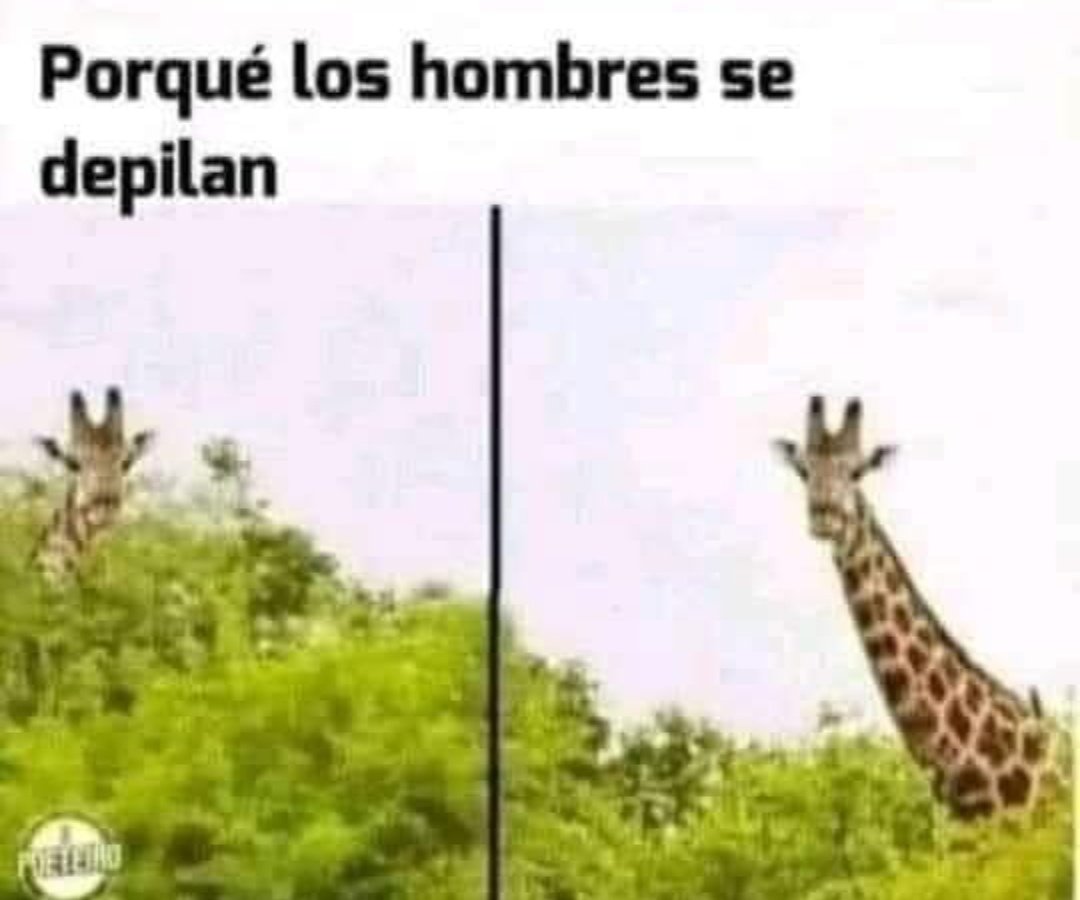 Jsjsjsjajajjaajjajajaajajajajajajajajajajaajjajajajajajajajajajajajajajajajajaqjqjja 
Sabéis que es verdad. 😂😂😂