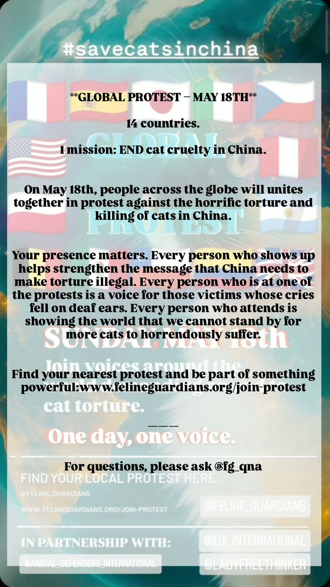 Ino_0m's tweet photo. **GLOBAL PROTEST – MAY 18TH**
14 countries.
1 mission: END cat cruelty in China.

On May 18th, people across the globe will unites together in protest against the horrific torture and ki||ing of cats in China.

#SAVECATSINCHINA #GlobalProtest #stopabuseanimals #China #may #2025 https://t.co/oEst79NX0p