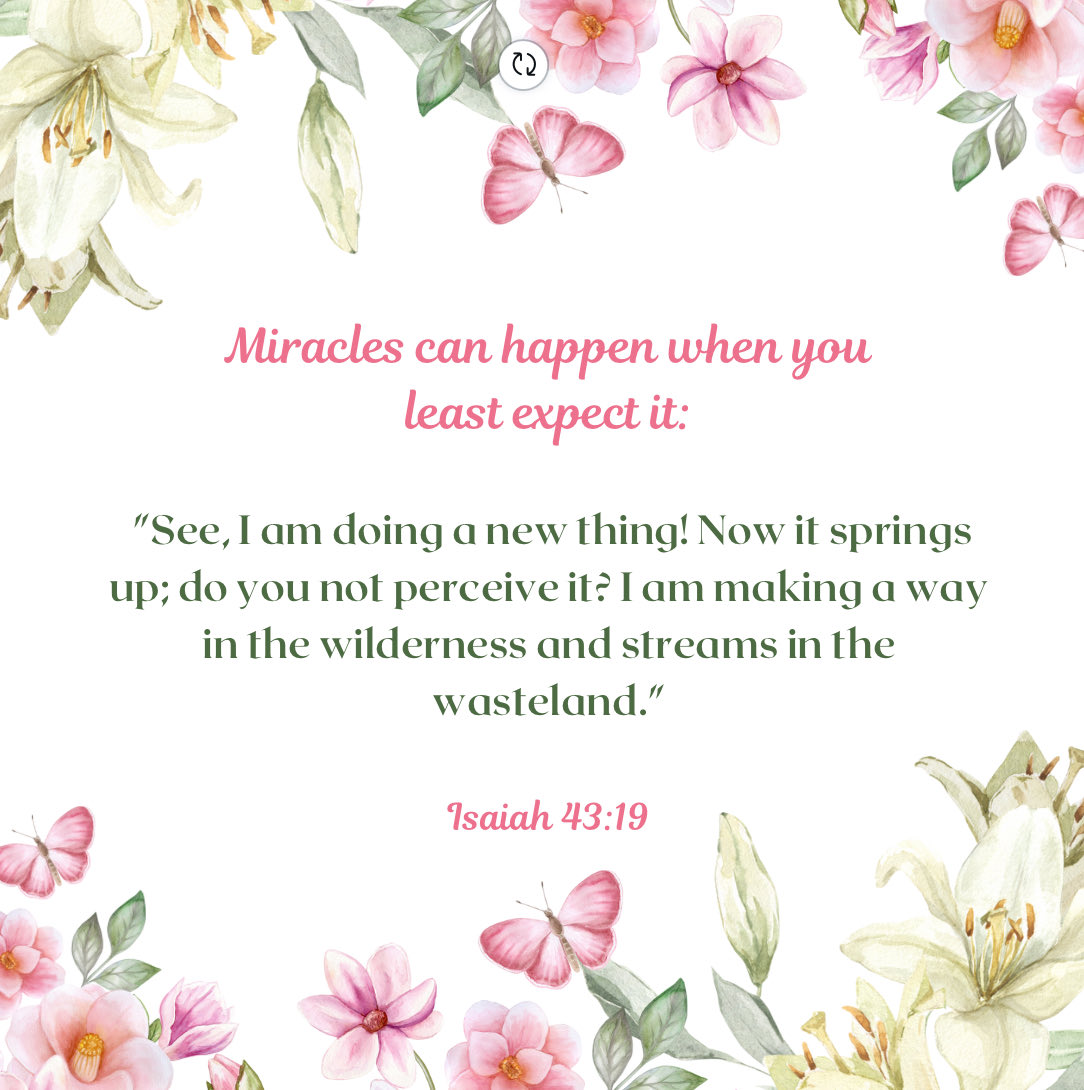 Tonya Roberts Raines (@tonyarraines) on Twitter photo 