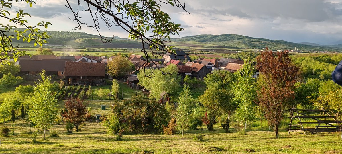 Good morning X. 

By the way ... Not my view 😁