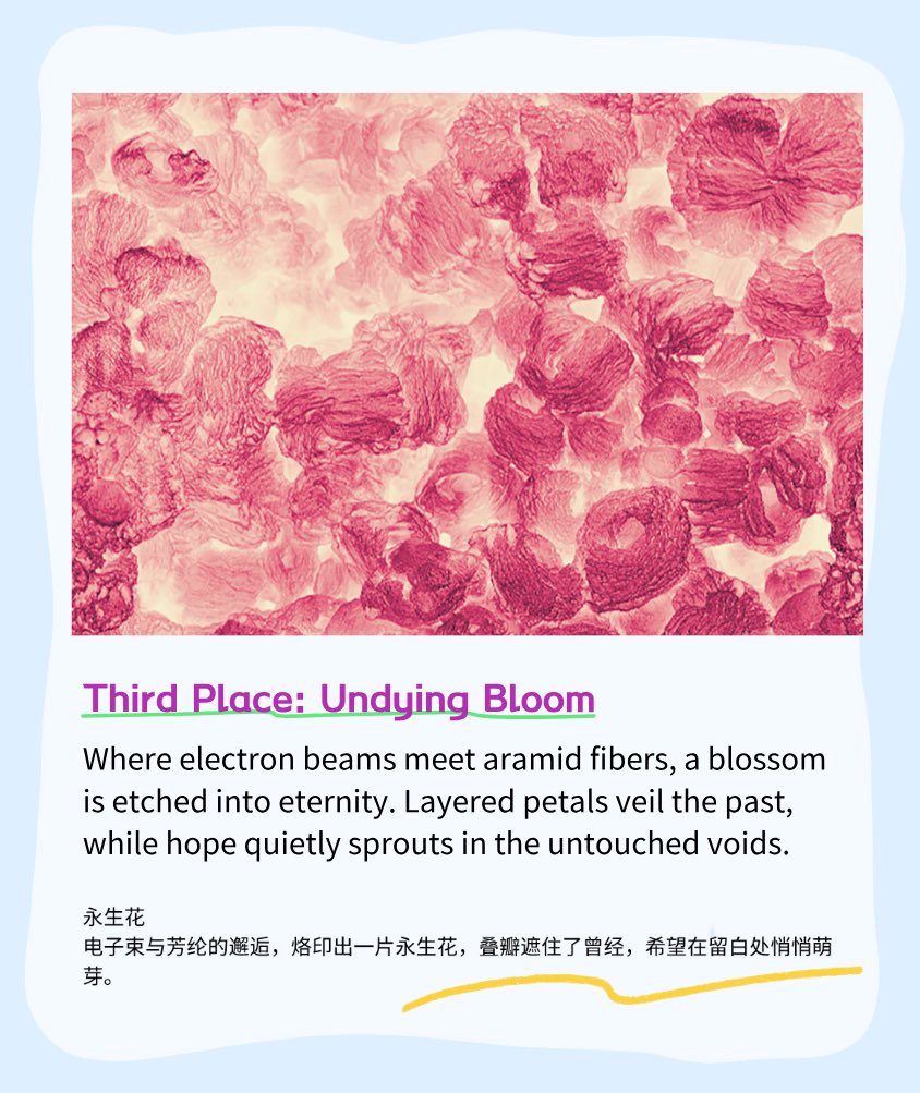 🎉 Top 3 Winners Announced: 5th "Bide Cup" Chemistry in Focus Photo Contest! 🎉
After two rounds of submissions and expert reviews by Peking University’s chemistry faculty, we proudly reveal the Top 3 entries: 🥇 Cosmic Iris | 🥈 Sorcerous Ore | 🥉 Undying Bloom. Winning works