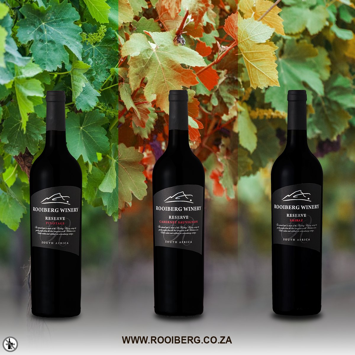 Crafted from exceptional vineyards and nurtured with care, our Rooiberg Reserve wines are made for moments that matter.🍷

📍 Order online: rooiberg.co.za
#RooibergWinery #RooibergReserve #TasteTheExcellence