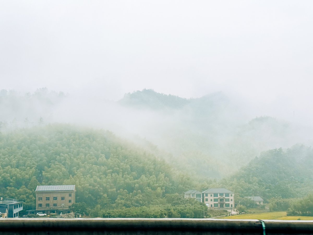 生活总要继续下去吧