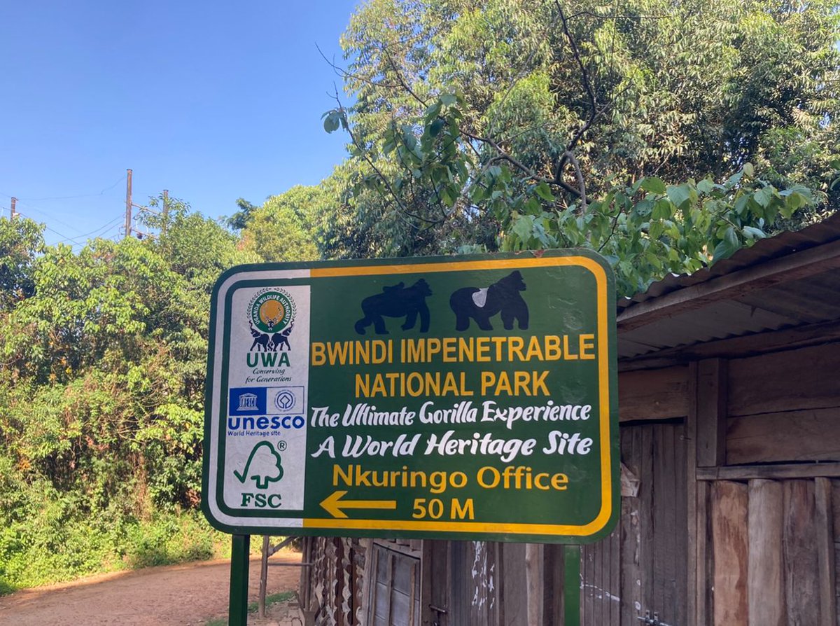 BWINDI IMPENETRABLE
NATIONAL PARK*
“The Ultimate Gorilla Experience”

One of Africa's oldest forests - being one of few that protect the arid conditions of the last ice age, the 325km Bwindi Impenetrable has carpeted the margin of the Albertine RiftValley for some 25,000 years.