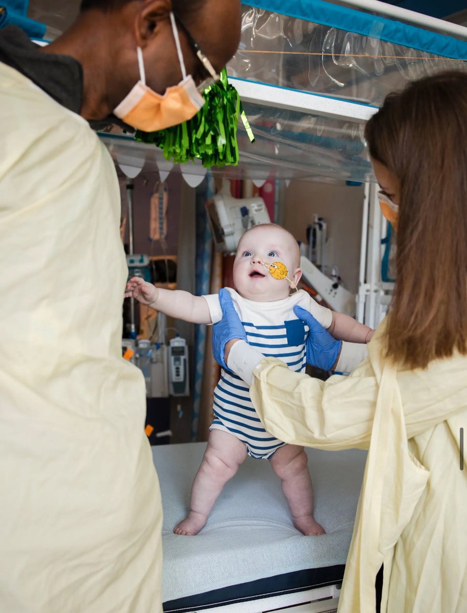 Tarihi Bir Dönüm Noktası:

Dünyanın ilk kişiselleştirilmiş gen düzenleme tedavisiyle iyileşen bebek.

Dünyada ilk kez, nadir ve ölümcül bir genetik hastalığa sahip bir bebek, kişiye özel geliştirilen CRISPR tabanlı gen düzenleme tedavisiyle başarılı bir şekilde tedavi edildi.