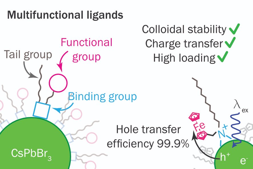 Quinten Akkerman (@q_akkerman) on Twitter photo Sick and tired of your energy and charge transfer molecules floating away and not providing colloidal stability?
Try Multifunctional Ligands for perovskite quantum dots!
Now out in: <a href="/ACSEnergyLett/">ACSEnergyLett</a> with <a href="/ivaninfante76/">Ivan Infante</a>
pubs.acs.org/doi/10.1021/ac… Sick and tired of your energy and charge transfer molecules floating away and not providing colloidal stability?
Try Multifunctional Ligands for perovskite quantum dots!
Now out in: <a href="/ACSEnergyLett/">ACSEnergyLett</a> with <a href="/ivaninfante76/">Ivan Infante</a>
pubs.acs.org/doi/10.1021/ac…