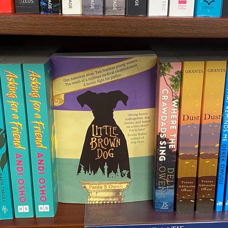 Hi <a href="/JaneFallon/">Jane Fallon</a> May I send you my novel <a href="/L1ttleBrownDog/">Little Brown Dog - The Novel Stockists on website</a>? It’s closely based on incredible true events that occurred in Edwardian London. It’s about a contentious statue (of a stray dog!!) &amp; incredible female bravery. I’m sure you’d enjoy it, and it would make my year 🥰