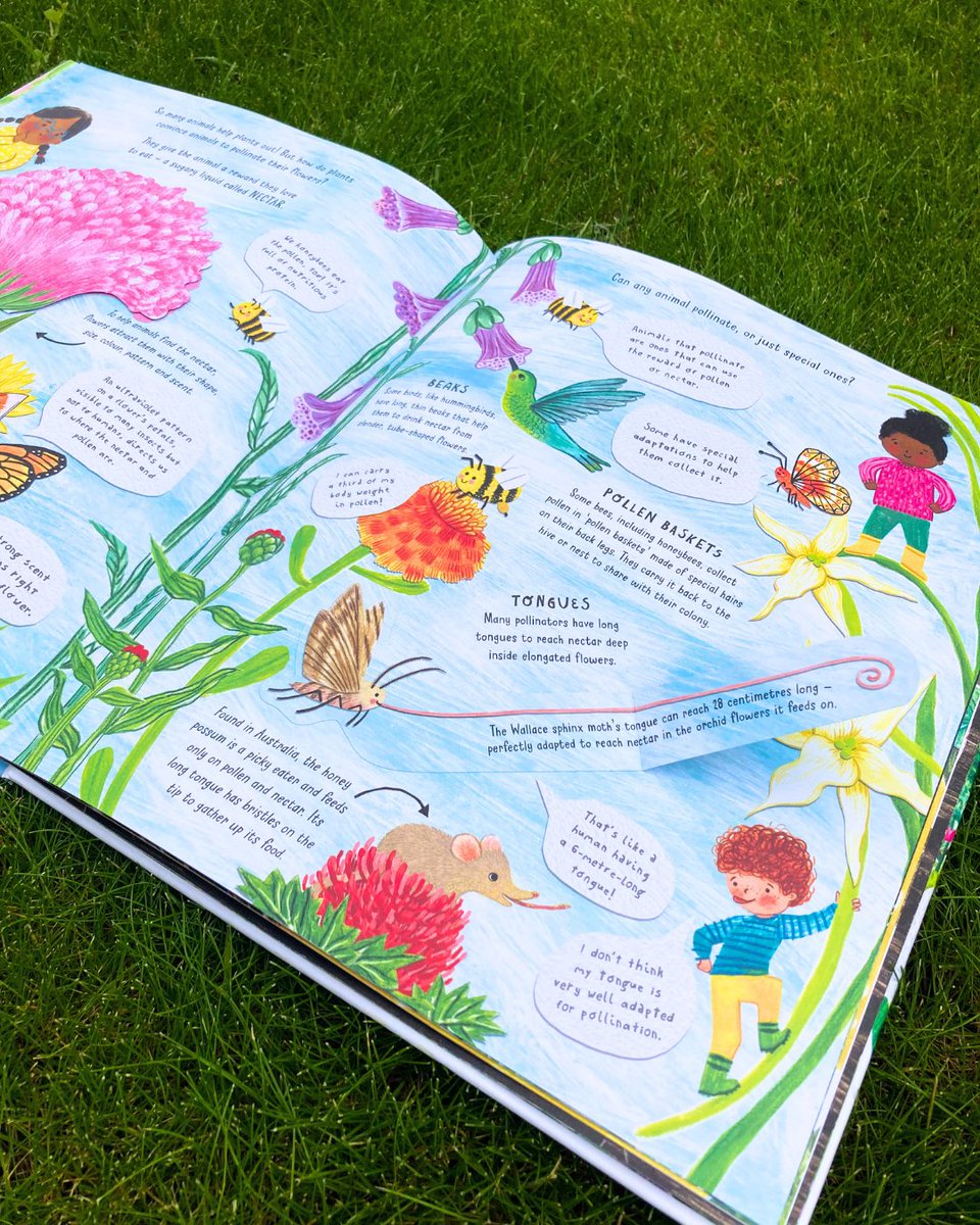 Flowers make the world SO lovely!
But WHY are they so bright and beautiful?
And HOW ON EARTH do they make food?🌸

Let's find out in... The Great Pollination Investigation by Deborah Hocking!🐝

Preorder now👉: lnk.to/pollinationinv…