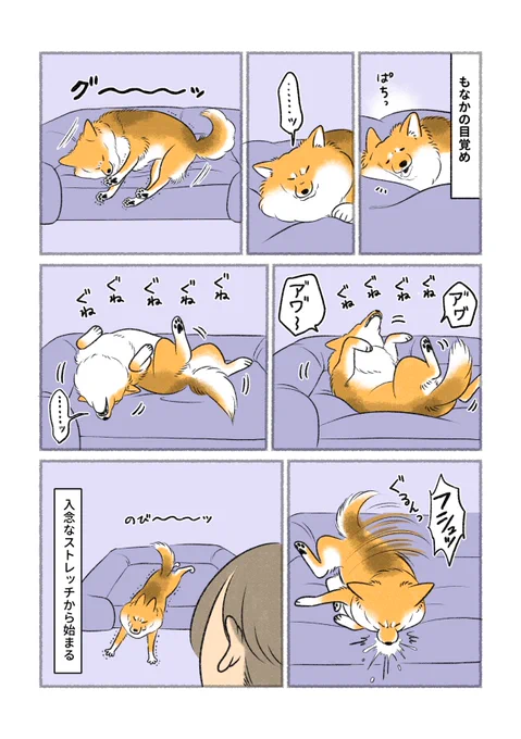 それぞれの目覚め 