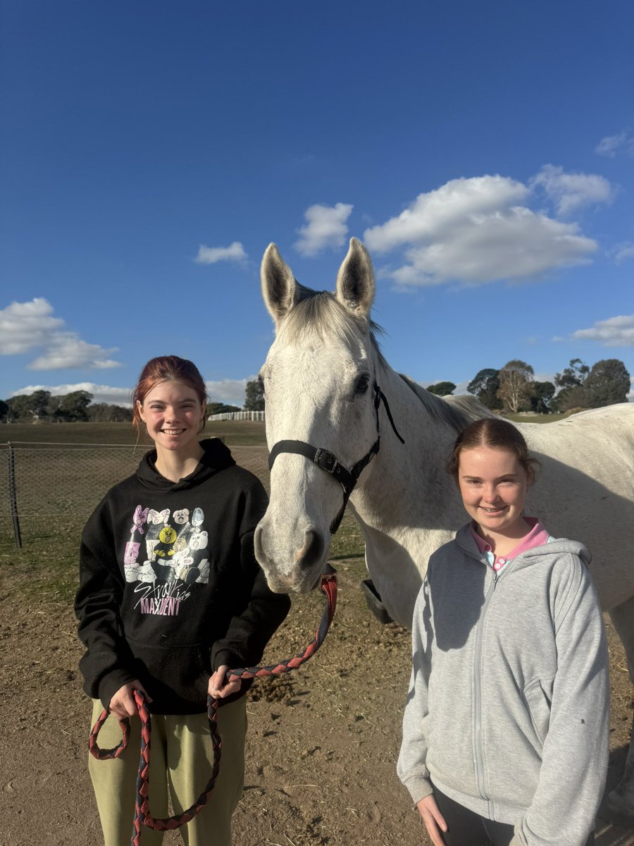LivingLegendsAU's tweet photo. 🥕Catch Almandin and Fawkner at @flemingtonvrc !
Work experience #learningwithlegends students Ruby and Keira spent some time with Din and Fawk today ahead of their Andrew Ramsden Raceday appearance this Saturday 17th of May!
They’ll be strutting their stuff after Races 2 & 4 in the mounting yard, and hanging out at Stalls 1 & 2 — ready for pats, carrots, and selfies galore!
#livinglegendsau #livinglegends #lovethehorse #retiredracehorse #ottthoroughbred #flemingtonracecourse #mountingyard #melbournecup #andrewramsdenstakes