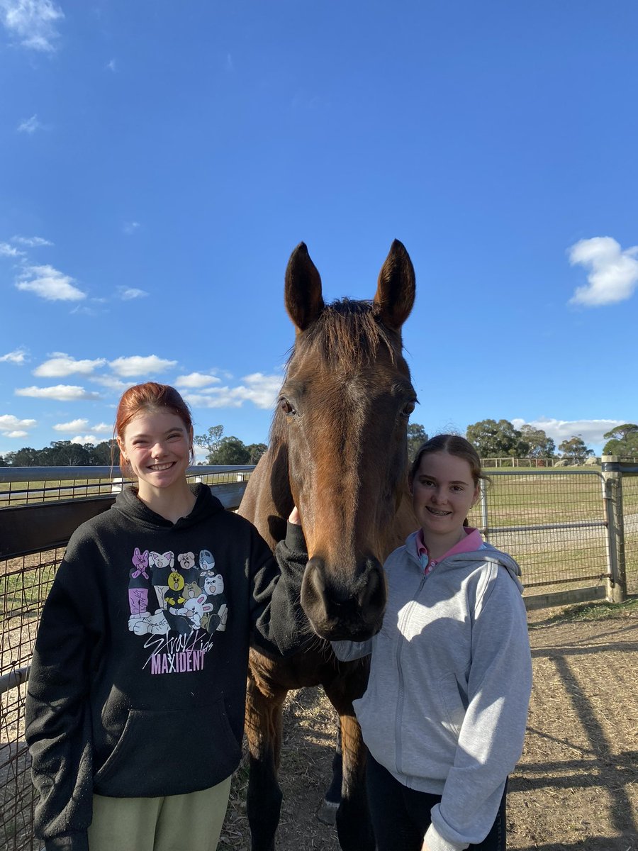 LivingLegendsAU's tweet photo. 🥕Catch Almandin and Fawkner at @flemingtonvrc !
Work experience #learningwithlegends students Ruby and Keira spent some time with Din and Fawk today ahead of their Andrew Ramsden Raceday appearance this Saturday 17th of May!
They’ll be strutting their stuff after Races 2 & 4 in the mounting yard, and hanging out at Stalls 1 & 2 — ready for pats, carrots, and selfies galore!
#livinglegendsau #livinglegends #lovethehorse #retiredracehorse #ottthoroughbred #flemingtonracecourse #mountingyard #melbournecup #andrewramsdenstakes