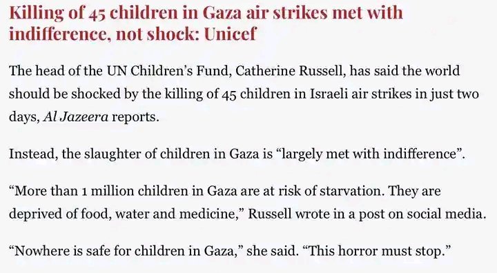 stoooray's tweet image. The head of the UN Children Fund:

#GazaGenocide‌