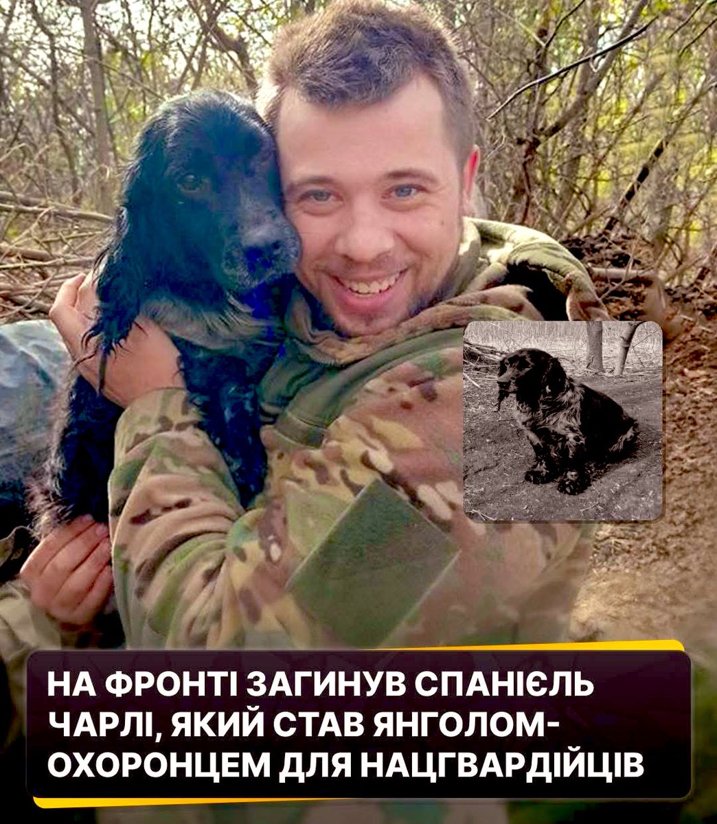 Олег Володарський tweet media
