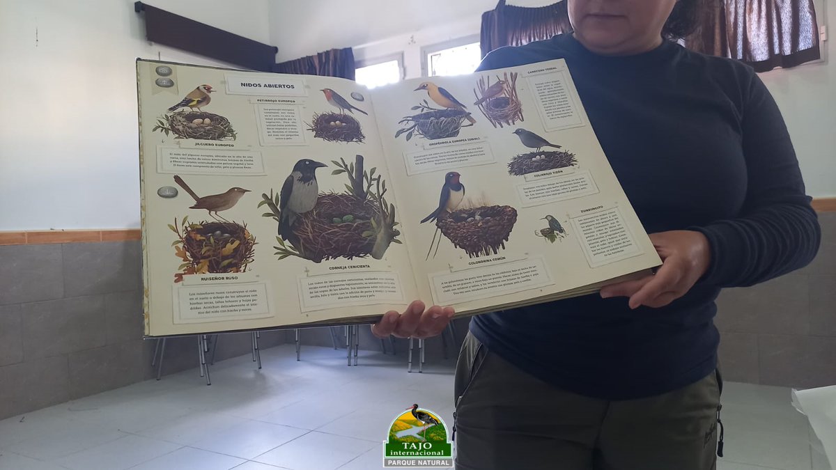 El lunes volvimos a celebrar el @DMAvesMigratorias, con el AMPA de Zarza la Mayor, en esta actividad hablamos de estas aves que conectan países, personas y continentes a través de sus rutas.
Destacando sus hábitats en las ciudades y comunidades y  la importancia  de conservarlas.