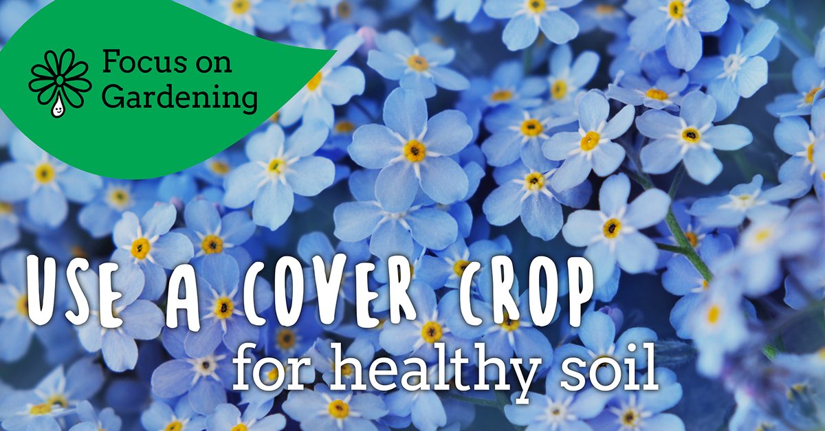 Here's a water-saving gardening tip: Use a cover crop for healthy soil 🌼

Cover crops conserve water and help the soil to maintain a healthy population of microorganisms. 

Learn more: brnw.ch/21wSH9f
#WatersWorthSaving