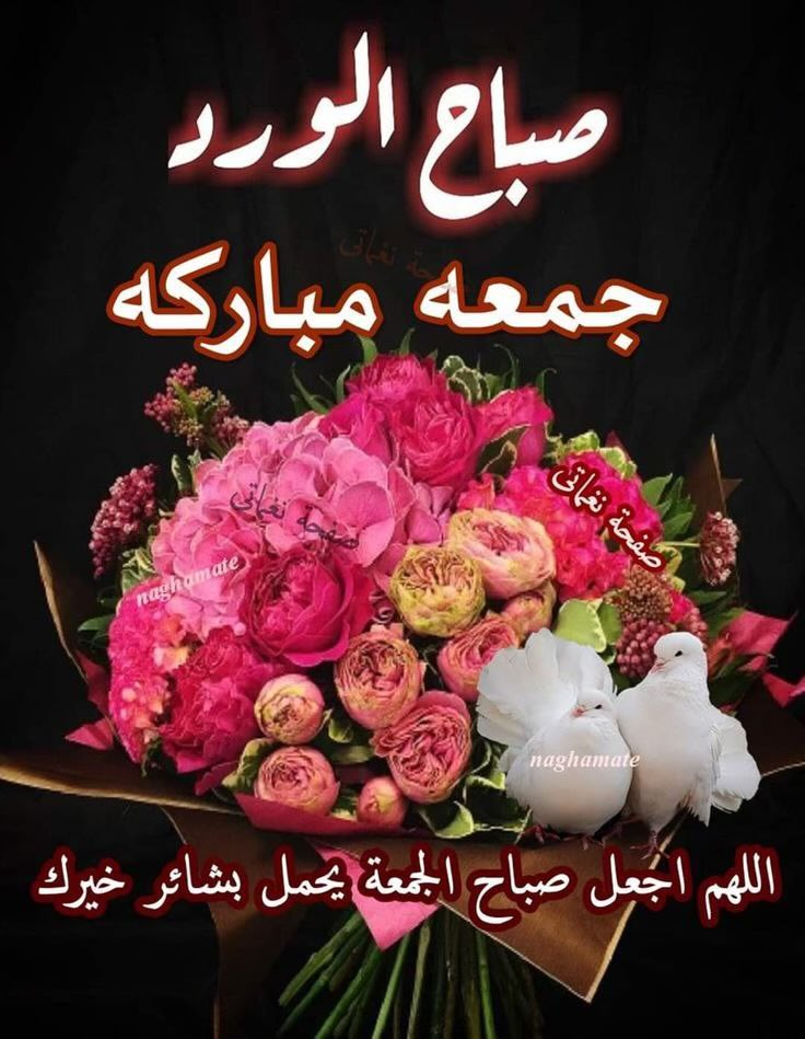 صباح يوم الجمعه المباركه🤲 #اللهــــــــــم بُشرى تشبه المطر ، وفرحة تمحو كل حزن
وفرج لكل صابر ، وشفاء لكل مريض ، واستجابة لكل دعاء
                إنك على كل شيءٍ قدير ..
#اللهــــــــــم إنا نستودعك ادعيه فى قلوبنا 
يا رب قل لها كن فتكون بقدرتك ومشيئتك 
#صباح_الخيرᅠ