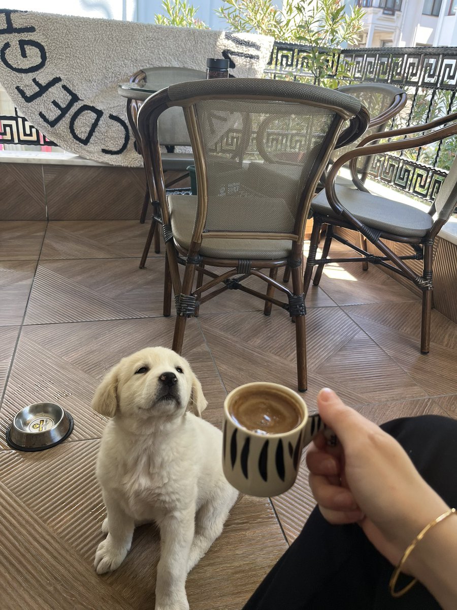 Beni dinleyen her fikrimi onaylayan tarçın  senle kahve içmek çokkk keyifliii