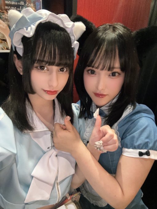猫耳コンカフェC4のツイート