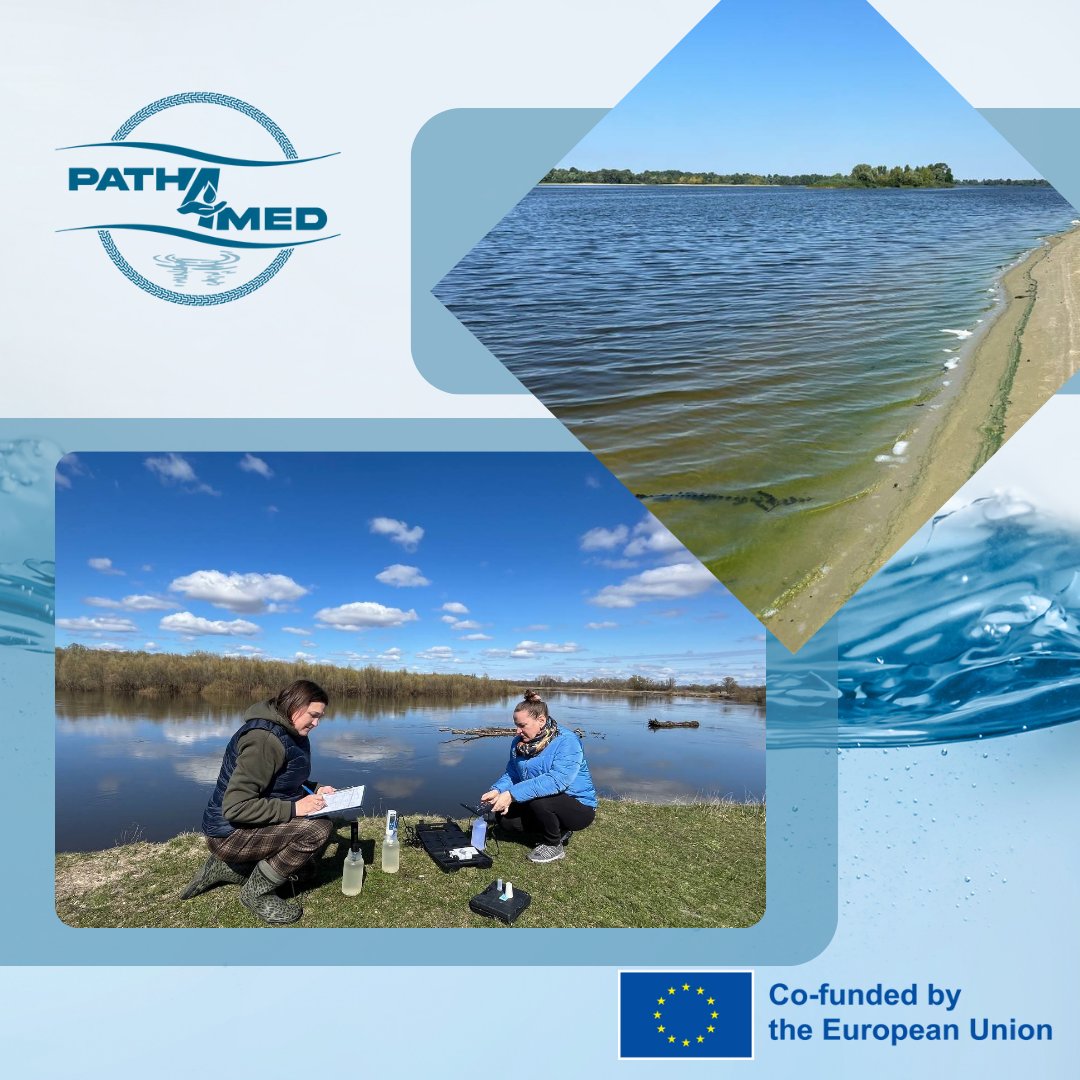 Path4Med tweet media