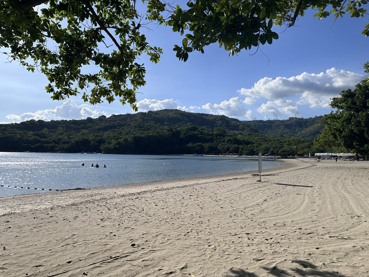 inyerocks's tweet image. 🏝️☀️