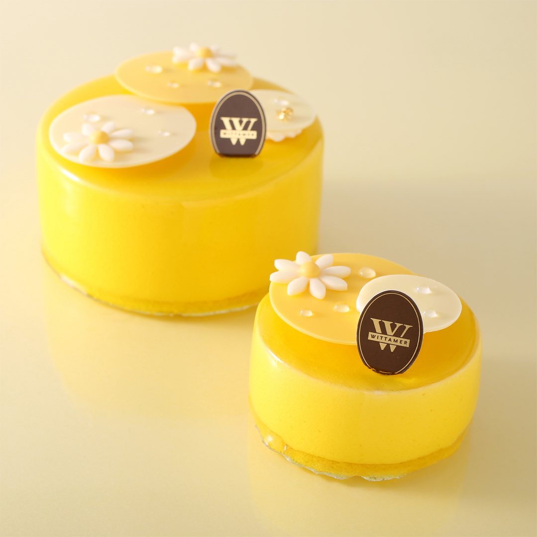 爽やかなオレンジのケーキ「プランタン・オランジェ」🍊 オレンジの