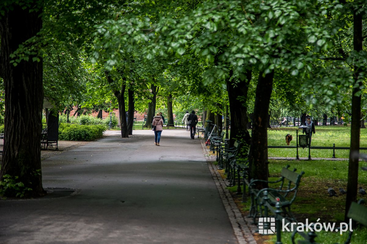 krakow_pl's tweet photo. #Krakow #KoszenieTraw #trawa #ZielenMiejska
Rozpoczęło się miejskie koszenie traw! Pamiętajcie, że z uwagi na zmieniające się warunki klimatyczne – Kraków ogranicza częstotliwość podcinania trawy. Najpierw koszone są pasy drogowe, pola widoczności wzdłuż dróg, polany rekreacyjne czy przejścia. Pod drzewami i przy krzewach pozostawia się nieskoszone obszary.
https://t.co/B65MGxXYvh
📷 Bogusław Świerzowski, Jan Graczyński
