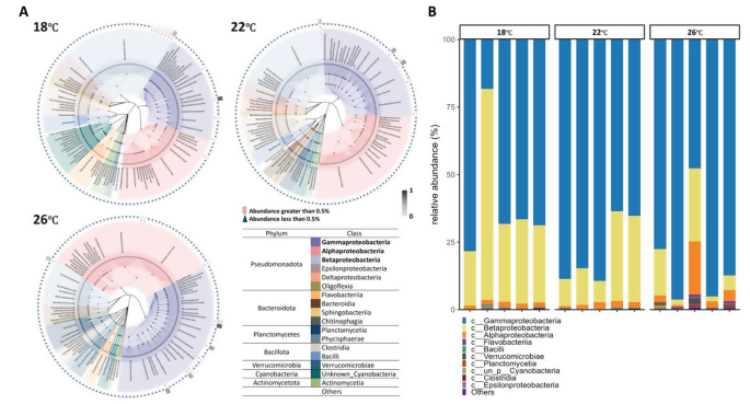 In #AnimalMicrobiome

🔍Investigating effects of water temperature on the gut microbiota &amp; metabolome of olive flounder

📢Higher temperatures diversify gut bacterial communities &amp; alter metabolite profiles

👉doi.org/pnct