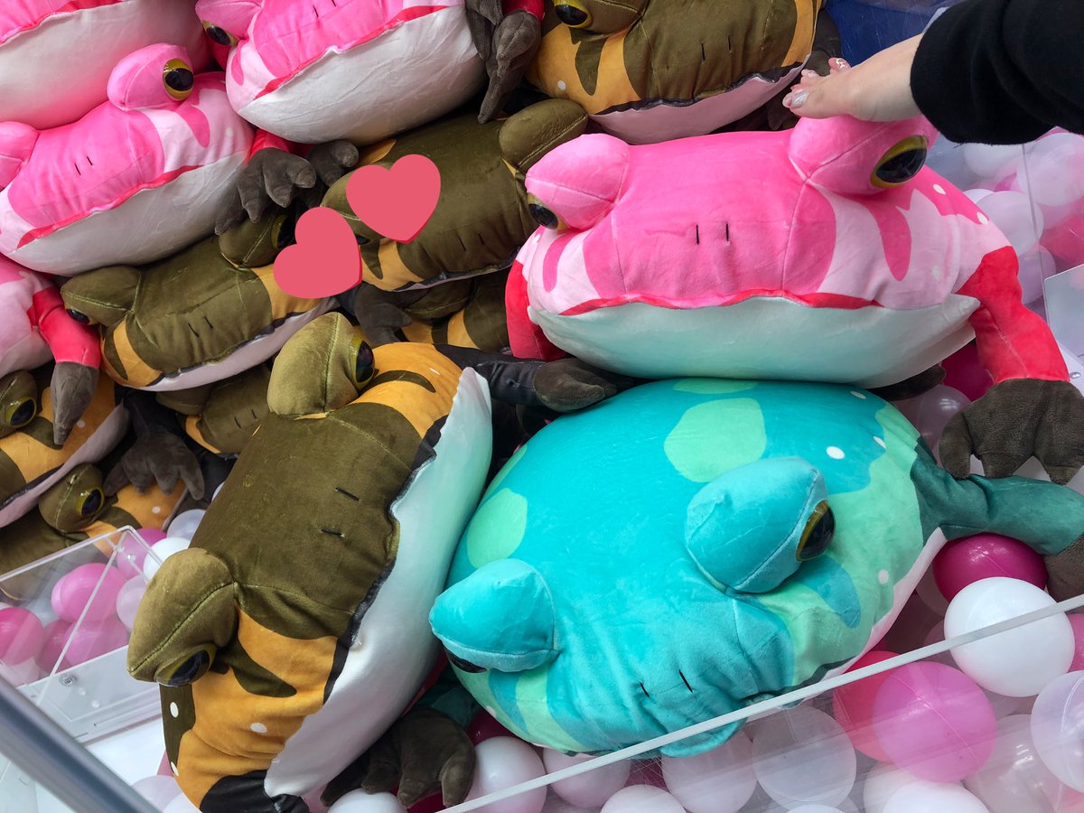 🐸モチっとおおきなアメフクラガエル🐸 入荷しました🫶 GiGO限定商品の