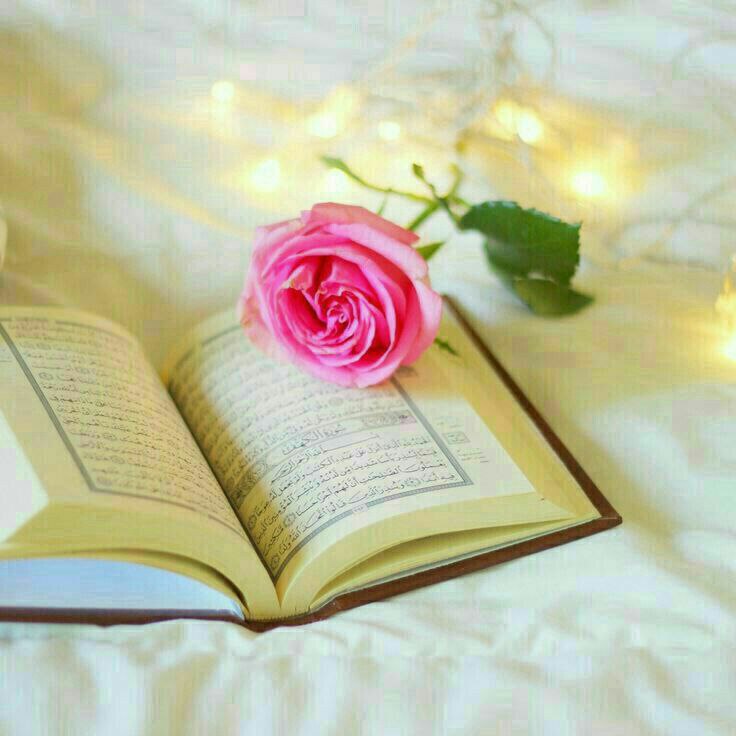 💫🌹ℎ𝑎𝑑𝑒𝑒𝑙 tweet media