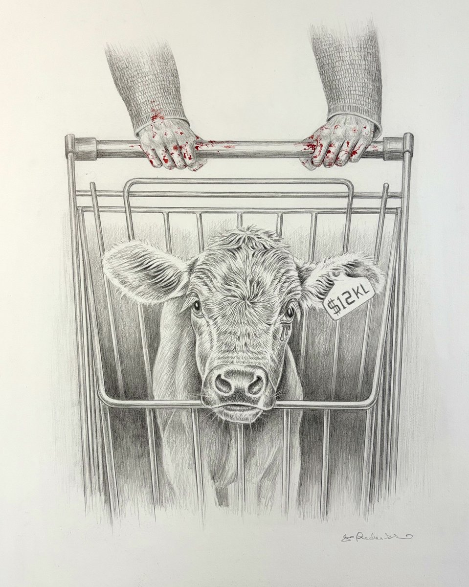 We Don't See the Individuals (series)

#AnimalRights #art #vegan #artist
