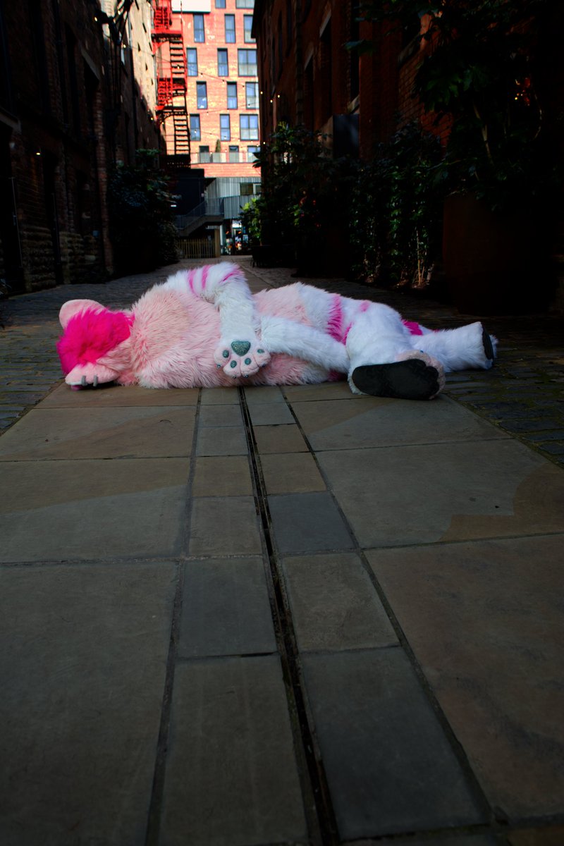 Another batch from my hiatus

☠️🐈 <a href="/justanekko/">♡ Ｎｅｋｋｏ ♡ -ただの猫-</a>
(Pls tag the others)

#FursuitFriday