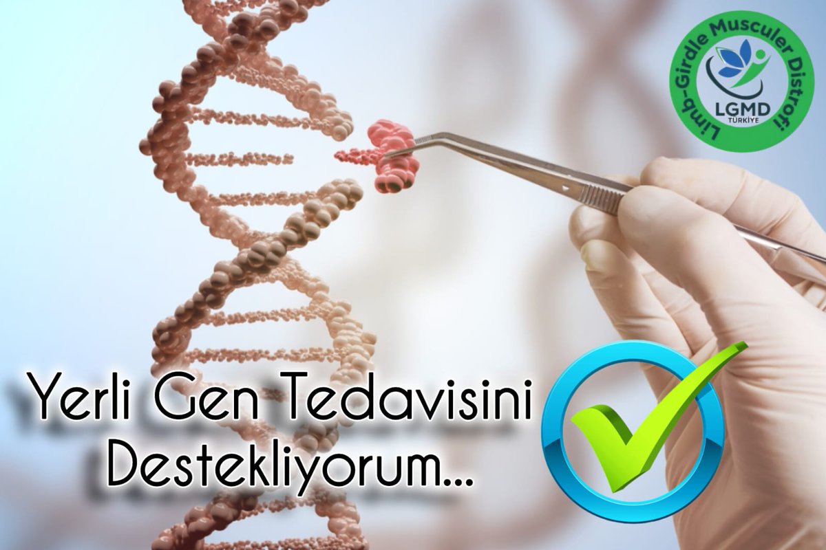 Fatoş (@fatosakyol06) on Twitter photo #lgmdkashastalarıtedavibekliyor Sayın Bakanım ve yetkililer lgmd kas hastaları için önemli olan yerli gen tedavisinin desteklenmesini istiyoruz.tek isteğimiz sağlıklı yaşam hakkı #yürümek <a href="/drmemisoglu/">Prof. Dr. Kemal Memişoğlu</a> <a href="/suayipbirinci/">Doç. Dr. Şuayıp Birinci</a> <a href="/HasanTurkez/">Hasan Türkez</a> <a href="/LgmdTurkiye/">LGMD Kas Hastalığı İle Mücadele Topluluğu</a> #sallandık #togg #Geceye <a href="/RTErdogan/">Recep Tayyip Erdoğan</a> #lgmdkashastalarıtedavibekliyor Sayın Bakanım ve yetkililer lgmd kas hastaları için önemli olan yerli gen tedavisinin desteklenmesini istiyoruz.tek isteğimiz sağlıklı yaşam hakkı #yürümek <a href="/drmemisoglu/">Prof. Dr. Kemal Memişoğlu</a> <a href="/suayipbirinci/">Doç. Dr. Şuayıp Birinci</a> <a href="/HasanTurkez/">Hasan Türkez</a> <a href="/LgmdTurkiye/">LGMD Kas Hastalığı İle Mücadele Topluluğu</a> #sallandık #togg #Geceye <a href="/RTErdogan/">Recep Tayyip Erdoğan</a>