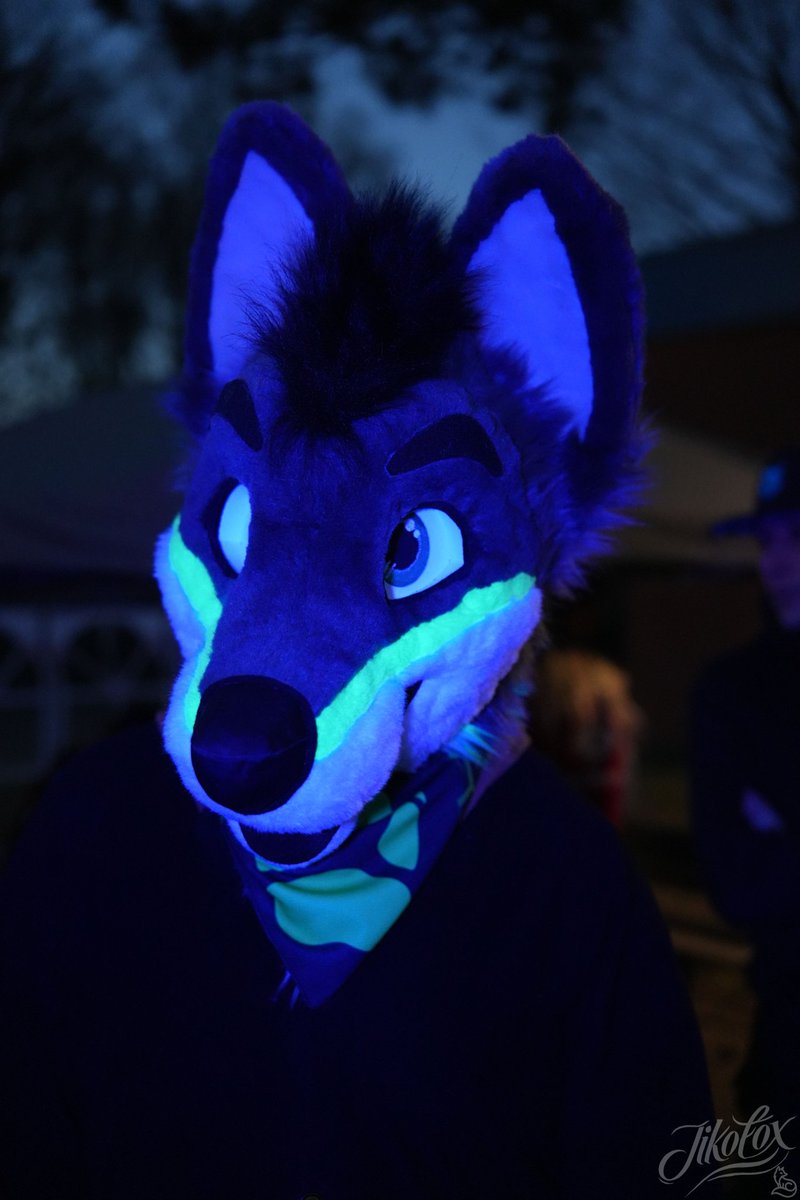 Glowing up this #FursuitFriday 

📸: <a href="/JikoFox/">JikoFox</a> 
🪡: <a href="/Fur_Delicious/">FurDelicious</a>
