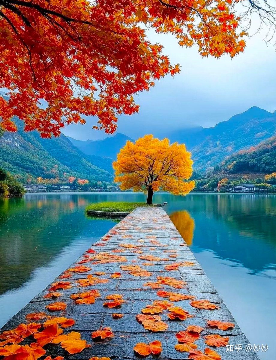 ByrdSuzann3284's tweet image. . @soon_svm #SOONISTHEREDPILL Fogo#SOON co - located validators enable microsecond - level executions. #Fogo #ExecutionSpeed🙃