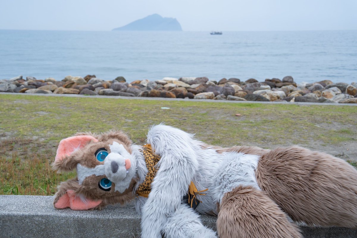 Lazy Friday 

📸 <a href="/Init_Monsters/">小怪 🦊</a> 
🪡 <a href="/KemoTianou/">天偶毛作⚠️commission open👉 6/14</a> 
#FursuitFriday