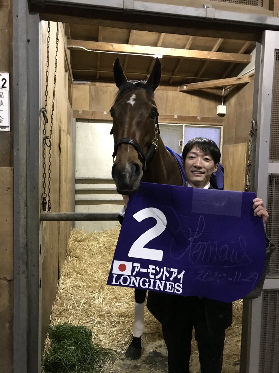 是非ご覧ください😊 アーモンドアイの秘密！国枝厩舎の