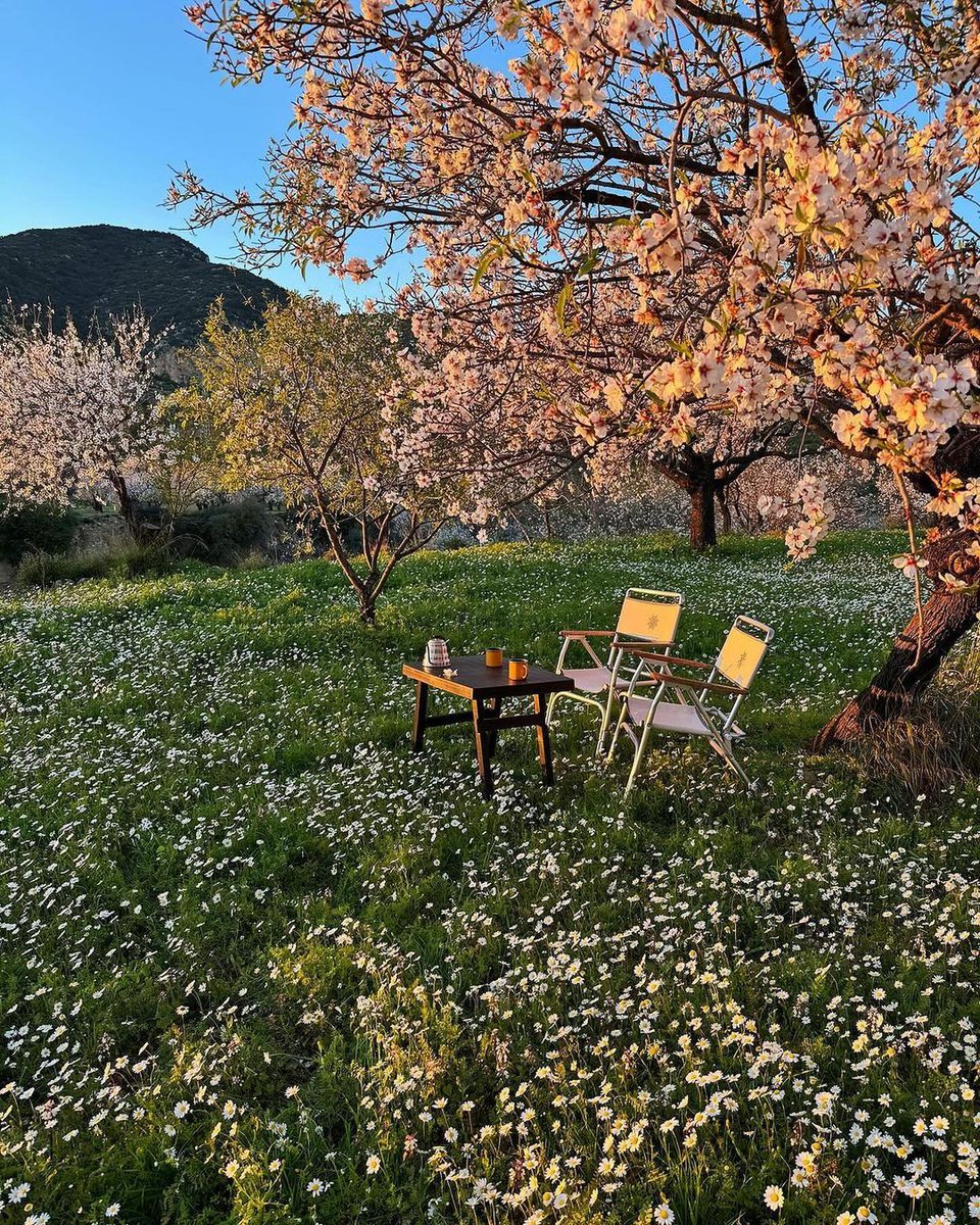 𝘢𝘦𝘴𝘵𝘩𝘦𝘵𝘪𝘤 𝘷𝘪𝘴𝘶𝘢𝘭𝘴 •°. *࿐ (@aestheticwabi) on Twitter photo 