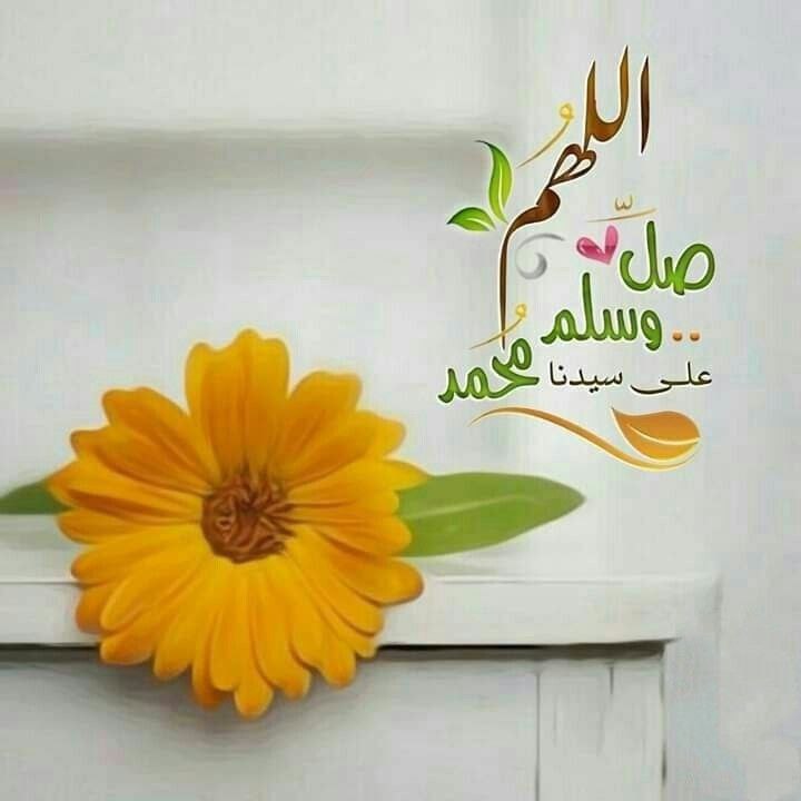 💫فــرز أفـــلاطـون 🇸🇦🔔 tweet media