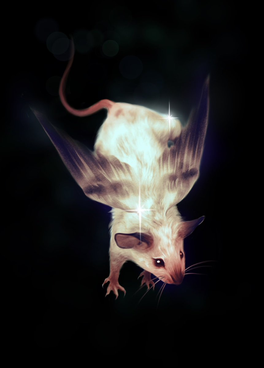 Welcome my new little creature🐁🪽

[ #art #artmoots #character ]