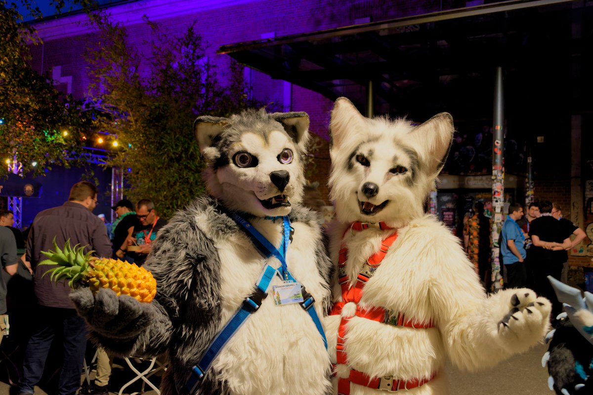 BerkWolf 🇩🇪🇳🇱 🔜 GnD 🇩🇪 (@berkwolf) on Twitter photo #FursuitFriday in my <a href="/Kitavos_DE/">Kitavos 🇩🇪 @ AC 🇺🇸</a> suit
✂️ <a href="/yurei_kitsune/">Yurei VF 2023</a>
🐺 <a href="/skipp_wolf/">Skippwolf</a> ❤️✂️ <a href="/DireCreatures/">DireCreatures</a>
📸 <a href="/TenzotheTiger/">Tenzo</a>
🗓 15.06.2024
🏨 <a href="/zbau_nbg/">Z-Bau</a>
🏙 #Nuremberg 🇩🇪
🦊 #Bavarian #Furdance
🎩 <a href="/BayernFurs/">Bayern-Furs e.V.</a>
#BFD #BFDF14 #BFD2024 #Fursuit #Furry
Follow my Berk-News (TG)
t.me/Berk_News #FursuitFriday in my <a href="/Kitavos_DE/">Kitavos 🇩🇪 @ AC 🇺🇸</a> suit
✂️ <a href="/yurei_kitsune/">Yurei VF 2023</a>
🐺 <a href="/skipp_wolf/">Skippwolf</a> ❤️✂️ <a href="/DireCreatures/">DireCreatures</a>
📸 <a href="/TenzotheTiger/">Tenzo</a>
🗓 15.06.2024
🏨 <a href="/zbau_nbg/">Z-Bau</a>
🏙 #Nuremberg 🇩🇪
🦊 #Bavarian #Furdance
🎩 <a href="/BayernFurs/">Bayern-Furs e.V.</a>
#BFD #BFDF14 #BFD2024 #Fursuit #Furry
Follow my Berk-News (TG)
t.me/Berk_News