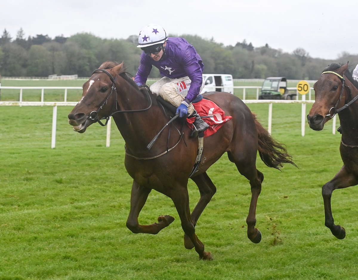 Navan Racecourse (@navanracecourse) on Twitter photo Declarations Ahead Of The Irish Stallion <a href="/IrishEBF_/">Irish Stallion Farms</a> Yeats Stakes π¨
π Butterfly Wings
π Medici Venus
π Whatβs Your Game
π Carmers
π Delta
π Bonnie Moon
π Umala
ποΈ Full Decs - hri-ras.ie/entries/Microsβ¦ Declarations Ahead Of The Irish Stallion <a href="/IrishEBF_/">Irish Stallion Farms</a> Yeats Stakes π¨
π Butterfly Wings
π Medici Venus
π Whatβs Your Game
π Carmers
π Delta
π Bonnie Moon
π Umala
ποΈ Full Decs - hri-ras.ie/entries/Microsβ¦
