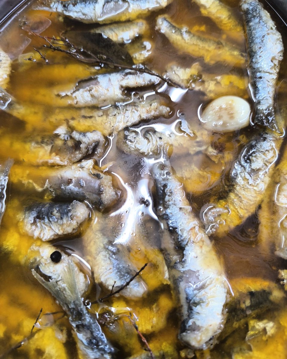 👨🏼‍🍳 Preparant unes sardines en escabetx…

😋 Us agraden❓

#Balandra #BalandraTGN