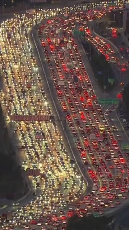 林 Linnamon tweet media