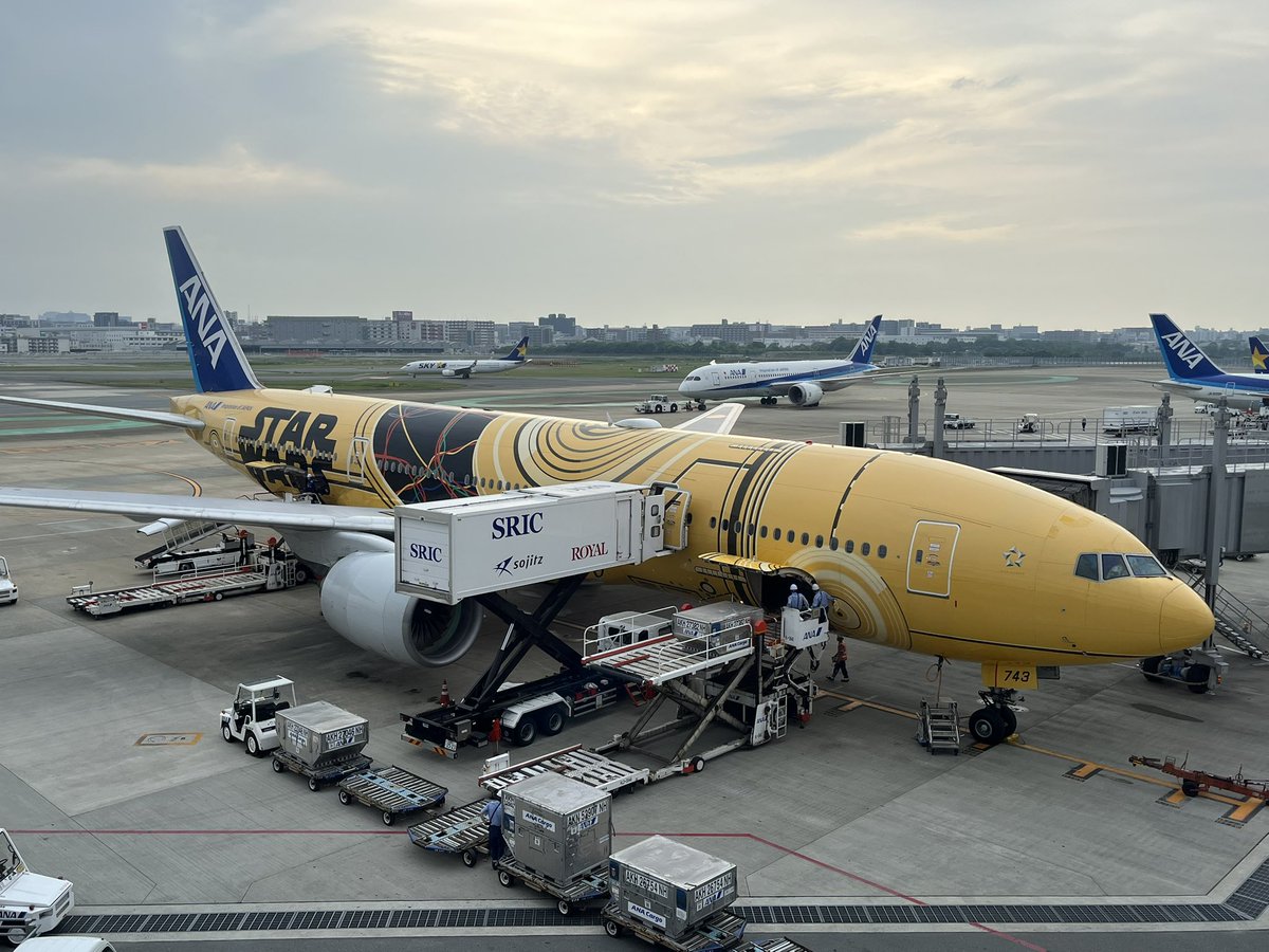 sajihiko's tweet photo. 2025/05/16 17:45ANA264便4K B777-200にて福岡空港から羽田空港に帰京✈️帰路はStarWarsJet👽 https://t.co/t3xomgeega