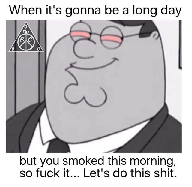 stonersvilla's tweet photo. https://t.co/qrIgMonvCP