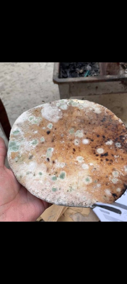 This is what was saved today to feed my children. I hope everyone will help and donate to me. 
chuffed.org/project/helpmy…