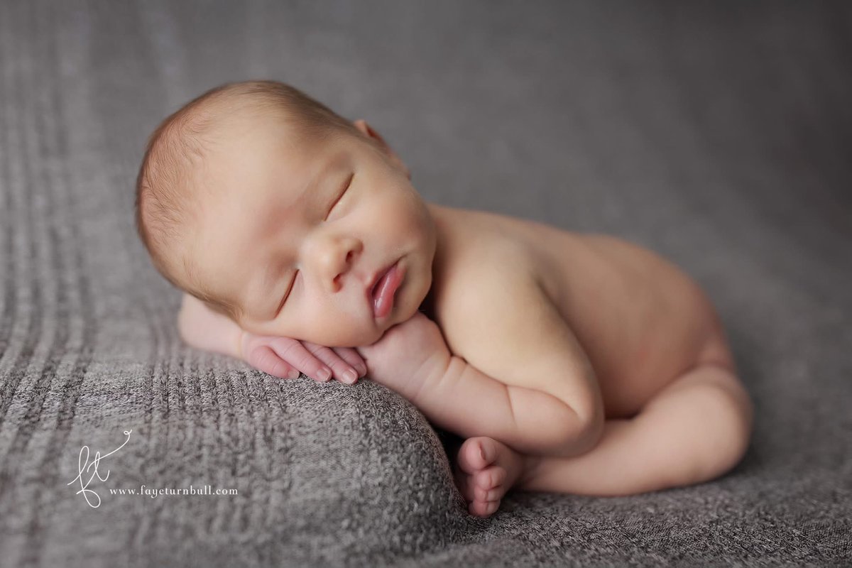 fayephotography's tweet photo. Book your newborn baby photoshoot in cape town #capetownnewbornphotography #newbornphotography #newbornphotographer  #newborn #newbornwrapping  #capetownphotographer #cakesmash  #newbornwrapping  #capetownphotographer #baby #pregnant https://t.co/67rOlWsYn5